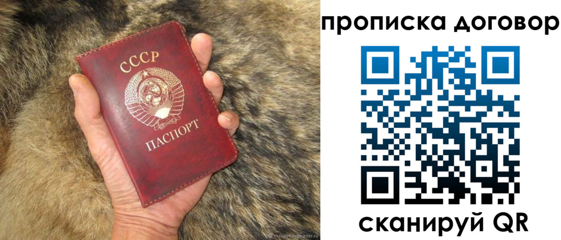 прописка регистрация в Ясногорске